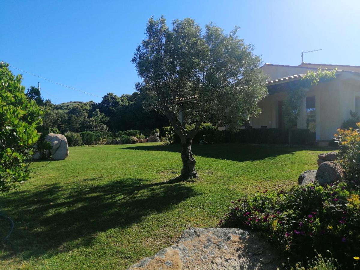 Agriturismo Fioredda Альенту Экстерьер фото